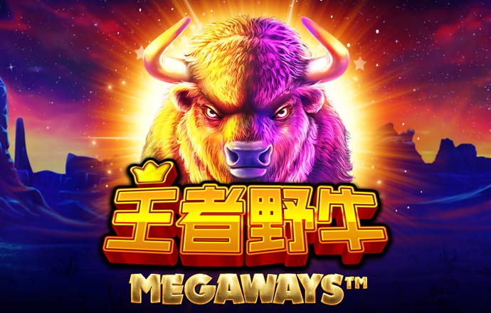 彩皇网下载安装手机版